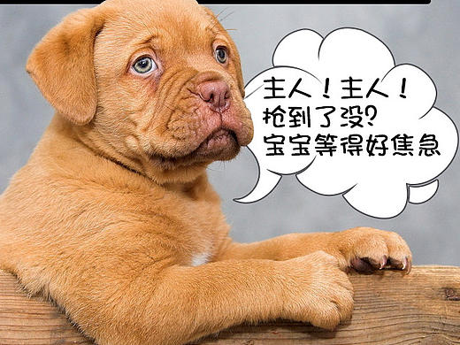 狗狗創(chuàng)意海報（個人主頁-ZMTc3NjgwNTI=） - 電商 - 站酷設(shè)計師敖敖老大原創(chuàng)素材 - 站酷ZCOOL