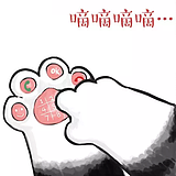 小虫Xc的头像