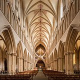 Tuolemi的头像