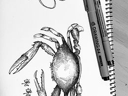 “謝謝”-練習(xí)/繪畫日記