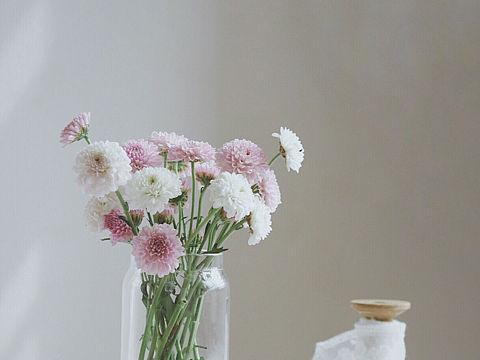 插花