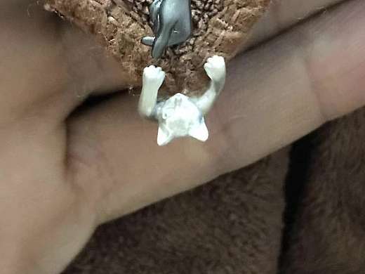 猫和老鼠 世界经典动画片，新年贺岁款耳钉