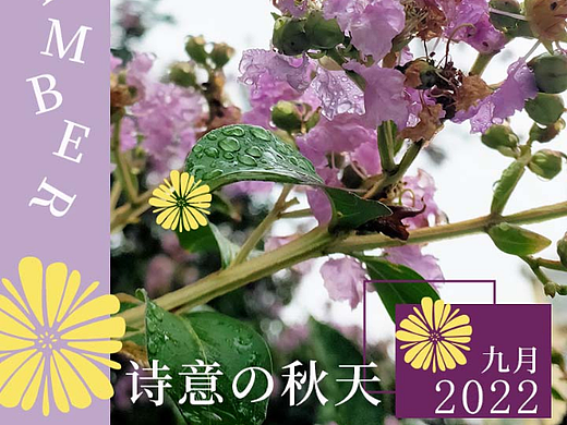 秋天的第一张随手拍海报