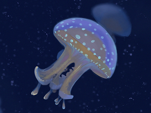 质感插画打卡DAY9
