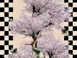 分享手機(jī)桌面