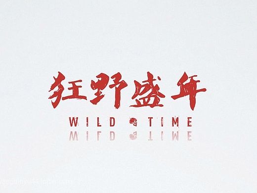 2014 毕设作品《狂野盛年》多媒体交互作品静态页