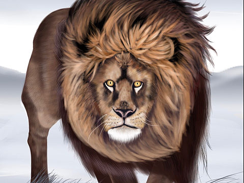 自学手绘,请各位大神指教。谢谢