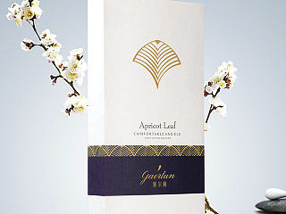 雅尔顿GINGKO高端毛巾包装-LANGXUN朗逊