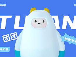 IP设计