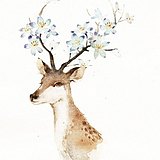 1Summer1的头像