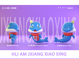 江西江豚江小星ip形象设计