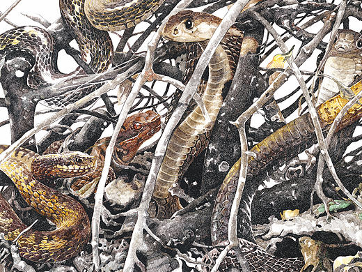 冬-隐藏 Winter Hidden 120x80cm 布面丙烯 