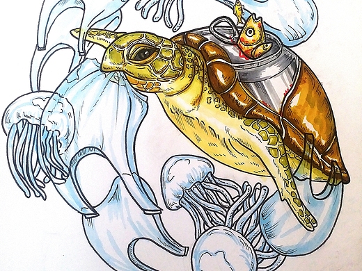 图案关小小小米2年前保护海洋生物平面-海报走吧go2年前素描侏罗即靠