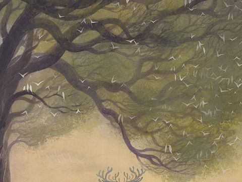 鹿寻（个人主页-ZNDk1Nzg0NTI=） - 商业插画 - 站酷设计师不管了_鹿原创素材 - 站酷ZCOOL