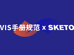 VIS品牌手册