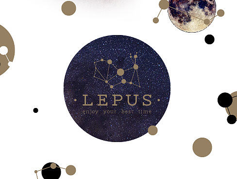 LEPUS café（个人主页-ZMTcwODgzNjQ=） - 品牌 - 站酷设计师眠眠原创素材 - 站酷ZCOOL