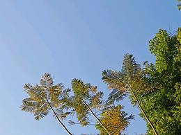 手機(jī)攝影練習(xí)3