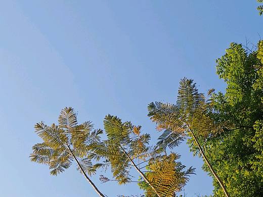 手机摄影练习3（个人主页-ZNTkxMjQyODg=） - 风光摄影 - 站酷设计师草菡JF原创素材 - 站酷ZCOOL