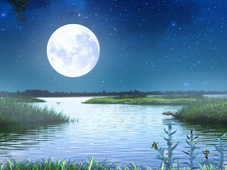 近期的一些东西。