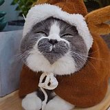 克里斯喵喵的头像