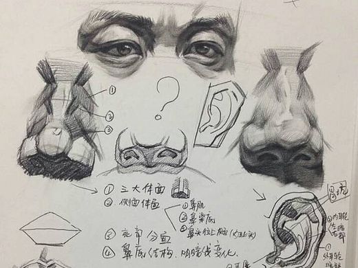 五官教程（个人主页-ZMTU4NDEwMDg=） - 绘画 - 站酷设计师毕加索之子原创素材 - 站酷ZCOOL