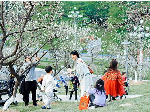 1月香雪梅香来（个人主页-ZNTk2MTg1MDg=） - 人文/纪实摄影 - 站酷设计师素和慕灼原创素材 - 站酷ZCOOL