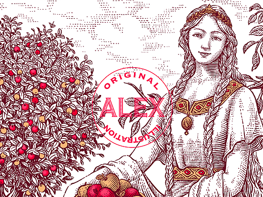 包装插画|伊敦女神