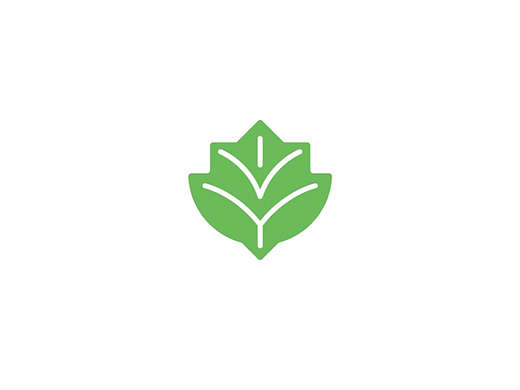 艾毅幼儿园 X Qun's Partners｜IVY Schools Branding