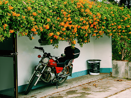 路边风景（个人主页-ZNjQxMjQ4NDQ=） - 产品摄影 - 站酷设计师Z367503937原创素材 - 站酷ZCOOL