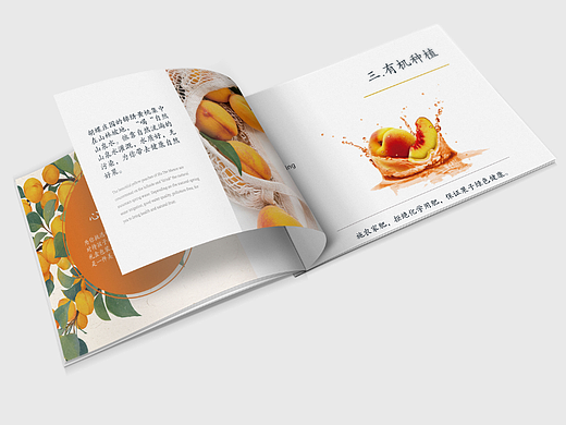 画册《蝴蝶庄园 锦绣黄桃》
