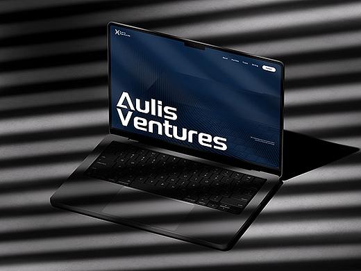 Aulis Ventures海外官网全案设计