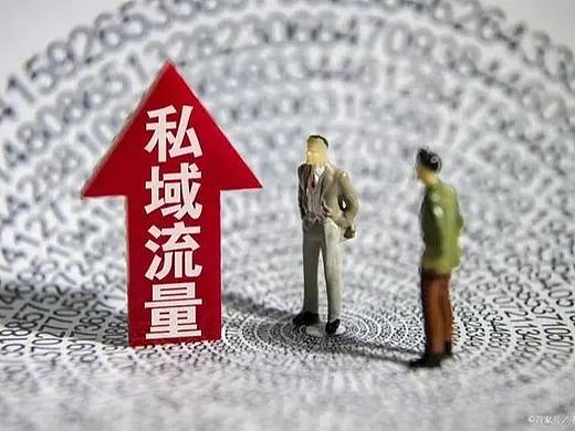 100万私域流量池如何搭建?私域运营常见的引流玩法有哪些?