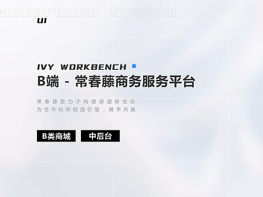 B端设计- 常春藤商务服务平台
