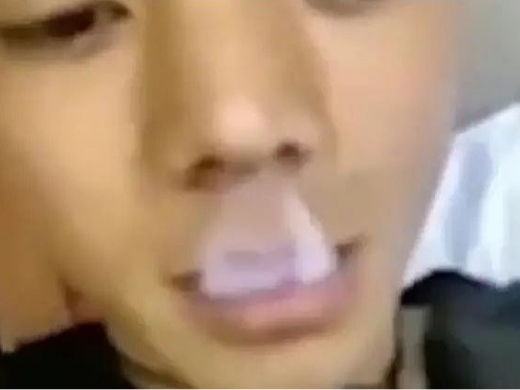 芝士雪豹