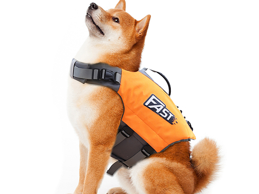 狗狗救生衣图片设计