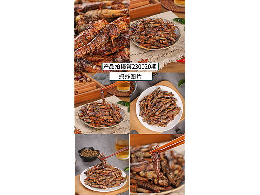 搬图猫素材网 | 客户定制蚂蚱图片