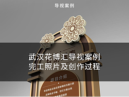 导视