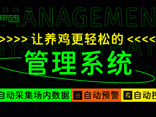 头条广告引流宣传设计