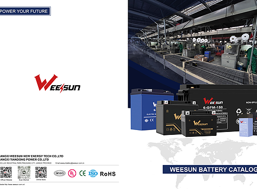 Weesun Motorcycle batteries 画册设计