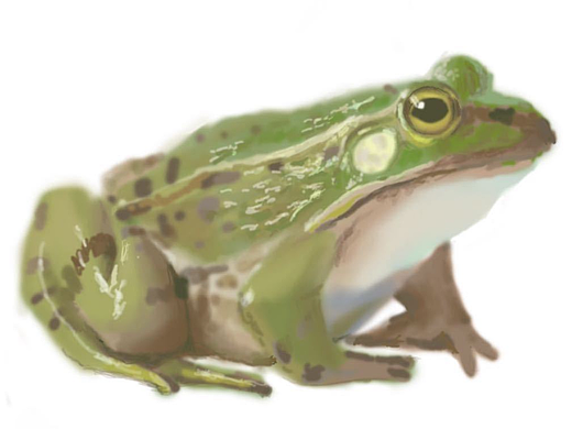 板绘（个人主页-ZNjg0NDE4MDg=） - 绘画 - 站酷设计师双人徐的徐原创素材 - 站酷ZCOOL