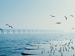 海