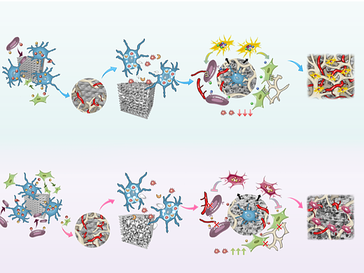 野马科研绘图欣赏