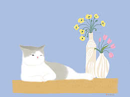 躺平100｜像猫猫一样躺平一下下