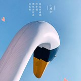 Z90225918的头像