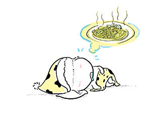 懒人豆汤