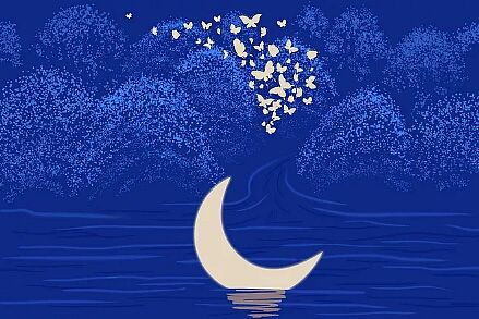 🌙