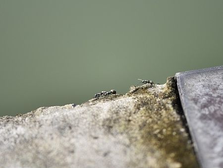 行走在边沿地带