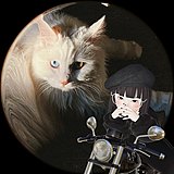 Janejoey的头像