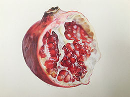 彩鉛畫(huà)【石榴】