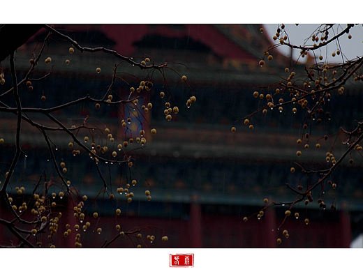春雨（個人主頁-ZNDI5ODA0OTY=） - 風光攝影 - 站酷設(shè)計師辣辣qin原創(chuàng)素材 - 站酷ZCOOL